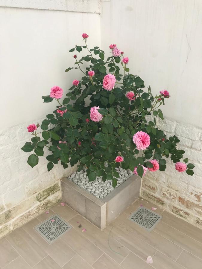 לינה וארוחת בוקר אלברובלו Nido Di Pietra-Dimora In Centro מראה חיצוני תמונה